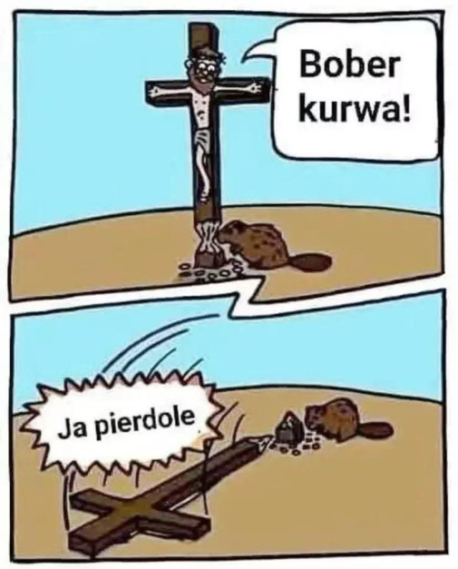 Bobor biblicky ( cartoon joke)